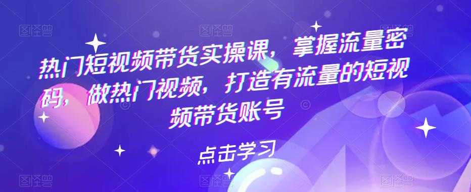 阿呆电商·达摩盘人群组合投放实战课，你以为推广不赚钱是技术问题，其实是你没有选好高价值消费客群