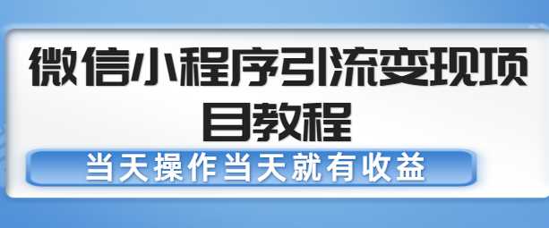 微信小程序引流变现项目教程，当天操作当天就有收益，变现不再是难事