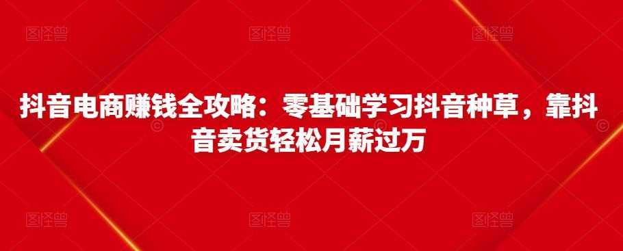 抖音电商赚钱全攻略：零基础学习抖音种草，靠抖音卖货轻松月薪过万