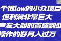 （6601期）一个很low的小众项目，但利润非常巨大，闷声发大财的首选副业，月入过万