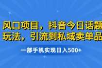 （6588期）风口项目，抖音今日话题玩法，引流到私域卖单品，一部手机实现日入500+