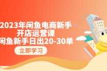 （6471期）2023年闲鱼电商新手开店运营课：闲鱼新手日出20-30单（18节-实战干货）