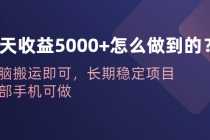 （6435期）一天收益5000+怎么做到的？无脑搬运即可，长期稳定项目，一部手机可做