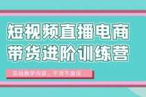 （6401期）短视频直播电商带货进阶训练营：实战教学内容，干货不废话！