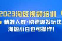 （6400期）2023淘短视频培训：精准人群·快速爆发玩法，淘短小白也可操作！