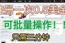 （6285期）国外项目注册一次0.5美金 只需三分钟无脑操作 可批量放大 小白工作室福利