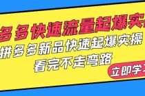 （6253期）拼多多-快速流量起爆实战，拼多多新品快速起爆实操，看完不走弯路