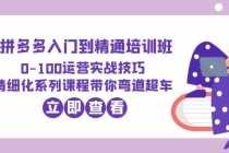 （6243期）2023拼多多入门到精通培训班：0-100运营实战技巧 精细化系列课带你弯道超车