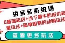 （6217期）拼多多系统课：0基础起店+当下最牛的低价起量玩法+简单粗暴的动销玩法