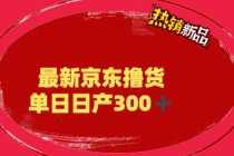 （6142期）外面最高收费到3980 京东撸货项目 号称日产300+的项目（详细揭秘教程）