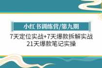 （6016期）小红书训练营/第九期：7天定位实战+7天爆款拆解实战，21天爆款笔记实操