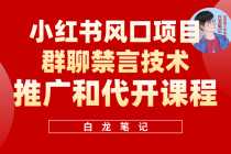 （5973期）小红书风口项目日入300+，小红书群聊禁言技术代开项目，适合新手操作