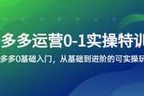 （5747期）拼多多-运营0-1实操训练营，拼多多0基础入门，从基础到进阶的可实操玩法