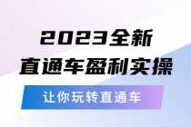 （5714期）2023全新直通车·盈利实操：从底层，策略到搭建，让你玩转直通车