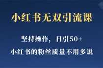 （5674期）小红书无双课一天引50+女粉，不用做视频发视频，小白也很容易上手拿到结果