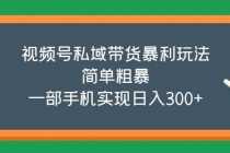 （5544期）视频号私域带货暴利玩法，简单粗暴，一部手机实现日入300+