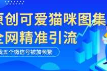 （5498期）黑科技纯原创可爱猫咪图片，全网精准引流，实操5个VX号被加频繁