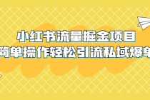 （5451期）外面收费398小红书流量掘金项目，简单操作轻松引流私域爆单