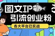 （5372期）价值1688的ks dy 小红书图文ip引流实操课，日引50-100！各大平台已经实战