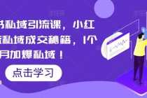 （5352期）小红书私域引流课，小红书引流私域成交秘籍，1个月加爆私域！