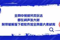 （5242期）全网中视频另类玩法，都在闷声发大财，附带破解版下载软件加全网最大素材库