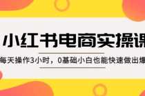 （5190期）小红书·电商实操课：每天操作3小时，0基础小白也能快速做出爆款！