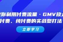 （5106期）教你利用付费流量·GMV放大，微付费、纯付费的实战型打法！