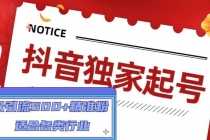 （4906期）抖音独家起号，一天引流500+精准粉，适合各类行业（9节视频课）