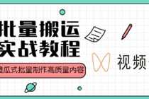 （4762期）视频号批量搬运实战赚钱教程，傻瓜式批量制作高质量内容【附视频教程+PPT】